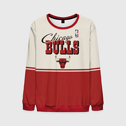 Мужской свитшот NBA Chicago Bulls vintage