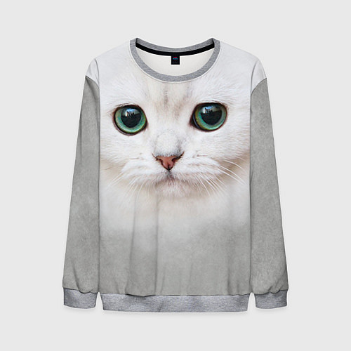 Мужской свитшот Белый котик / 3D-Меланж – фото 1