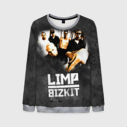 Свитшот мужской Limp Bizkit: Rock in to you, цвет: 3D-меланж