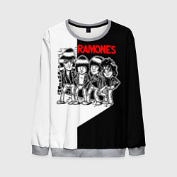 Свитшот мужской Ramones Boys, цвет: 3D-меланж