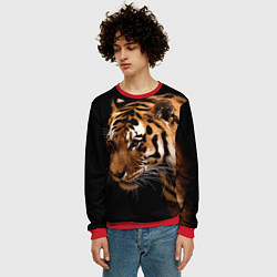 Свитшот мужской Тигрица, цвет: 3D-красный — фото 2