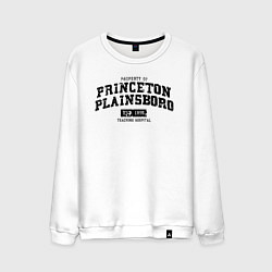 Свитшот хлопковый мужской Princeton Plainsboro, цвет: белый