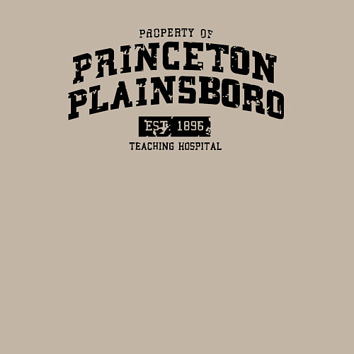 Мужской свитшот Princeton Plainsboro / Миндальный – фото 3