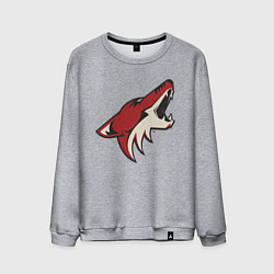 Свитшот хлопковый мужской Phoenix Coyotes, цвет: меланж