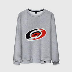 Мужской свитшот Carolina Hurricanes