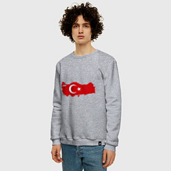 Свитшот хлопковый мужской Турция (Turkey), цвет: меланж — фото 2