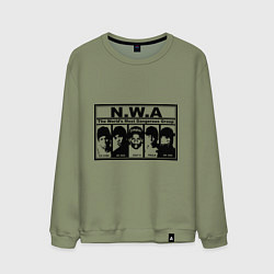Свитшот хлопковый мужской NWA, цвет: авокадо