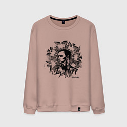 Свитшот хлопковый мужской Dolphin: Birds, цвет: пыльно-розовый