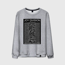 Свитшот хлопковый мужской Joy Division: Unknown Pleasures, цвет: меланж