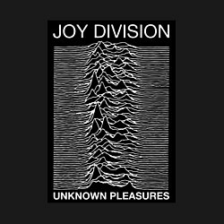 Свитшот хлопковый мужской Joy Division: Unknown Pleasures, цвет: черный — фото 2