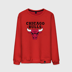 Свитшот хлопковый мужской Chicago Bulls, цвет: красный