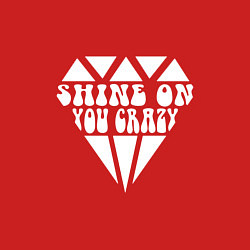 Свитшот хлопковый мужской Shine on you crazy, цвет: красный — фото 2