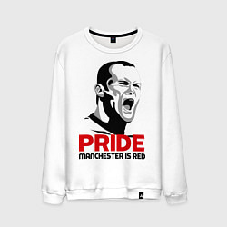 Мужской свитшот Pride Rooney