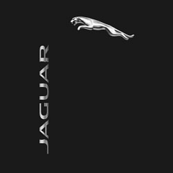 Свитшот хлопковый мужской Jaguar Motors, цвет: черный — фото 2