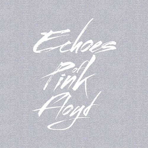 Мужской свитшот Echoes of Pink Floyd / Меланж – фото 3