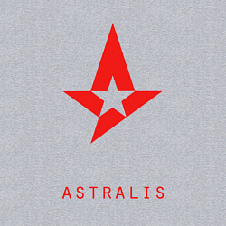 Свитшот хлопковый мужской Astralis - The Form, цвет: меланж — фото 2