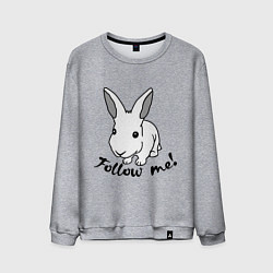 Мужской свитшот Rabbit: follow me