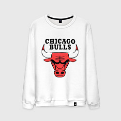 Мужской свитшот Chicago Bulls