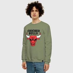Свитшот хлопковый мужской Chicago Bulls, цвет: авокадо — фото 2
