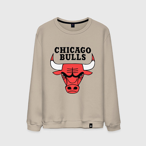 Мужской свитшот Chicago Bulls / Миндальный – фото 1