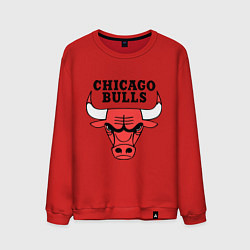 Свитшот хлопковый мужской Chicago Bulls, цвет: красный