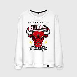 Свитшот хлопковый мужской Chicago Bulls est. 1966, цвет: белый