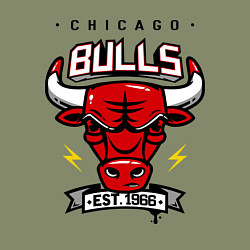 Свитшот хлопковый мужской Chicago Bulls est. 1966, цвет: авокадо — фото 2