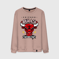 Свитшот хлопковый мужской Chicago Bulls est. 1966, цвет: пыльно-розовый