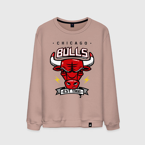 Мужской свитшот Chicago Bulls est. 1966 / Пыльно-розовый – фото 1