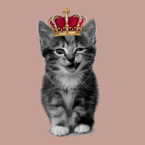 Мужской свитшот Meow kitten / Пыльно-розовый – фото 3