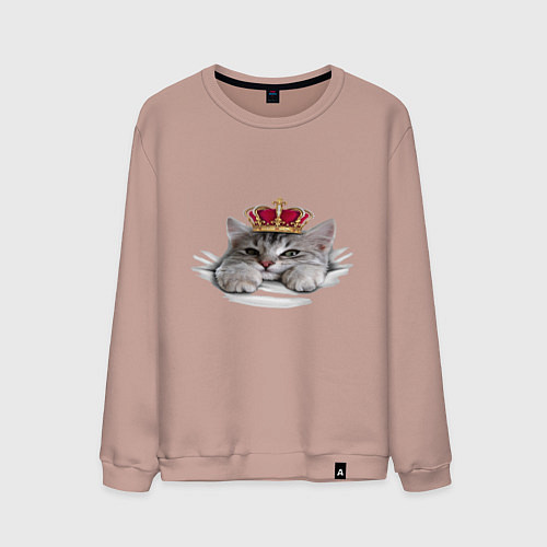 Мужской свитшот Pretty kitten / Пыльно-розовый – фото 1