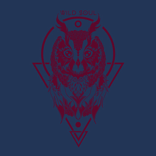 Мужской свитшот Сова / Тёмно-синий – фото 3