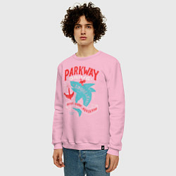Свитшот хлопковый мужской Parkway Drive: Unbreakable, цвет: светло-розовый — фото 2