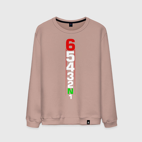 Мужской свитшот Скорости мотоцикла / Пыльно-розовый – фото 1