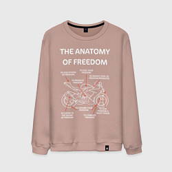 Свитшот хлопковый мужской The Anatomy of Freedom, цвет: пыльно-розовый
