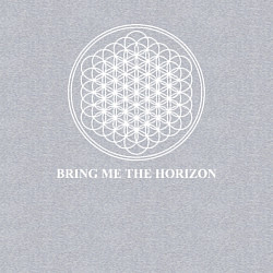 Свитшот хлопковый мужской BRING ME THE HORIZON, цвет: меланж — фото 2