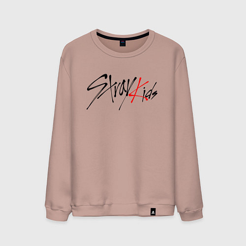 Мужской свитшот STRAY KIDS BANGCHAN / Пыльно-розовый – фото 1