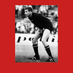 Свитшот хлопковый мужской Лев Яшин, цвет: красный — фото 2