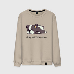 Свитшот хлопковый мужской Навстречу мечте, цвет: миндальный