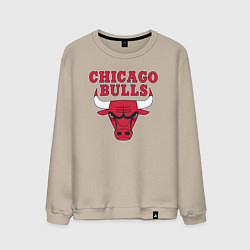 Свитшот хлопковый мужской CHICAGO BULLS, цвет: миндальный