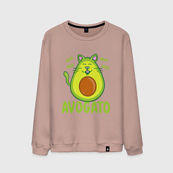 Мужской свитшот AVOGATO