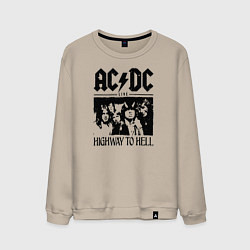Свитшот хлопковый мужской ACDC highway to hell, цвет: миндальный