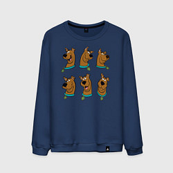 Свитшот хлопковый мужской Scooby-Doo, цвет: тёмно-синий