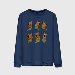 Свитшот хлопковый мужской Scooby-Doo, цвет: тёмно-синий
