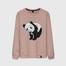 Свитшот хлопковый мужской Панда, цвет: пыльно-розовый