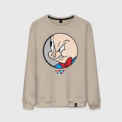 Мужской свитшот Porky Pig