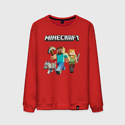 Мужской свитшот MINECRAFT