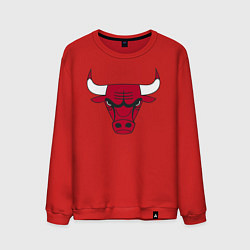 Свитшот хлопковый мужской Chicago Bulls, цвет: красный