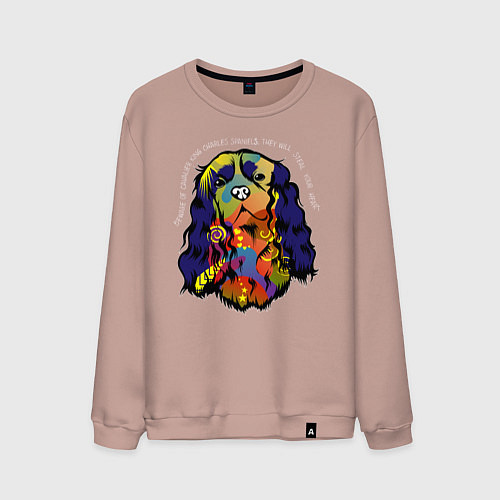 Мужской свитшот Берегись кавалер кинг спаниеля / Пыльно-розовый – фото 1