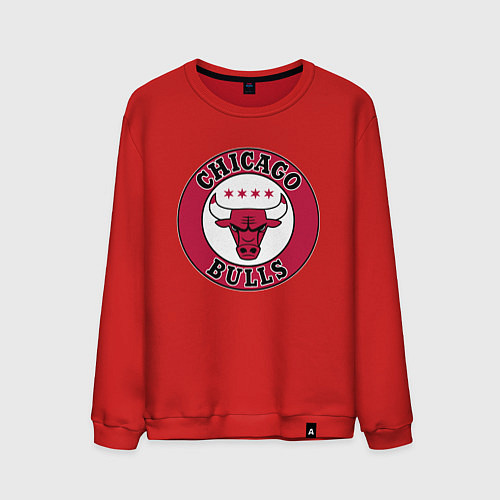 Мужской свитшот CHICAGO BULLS / Красный – фото 1